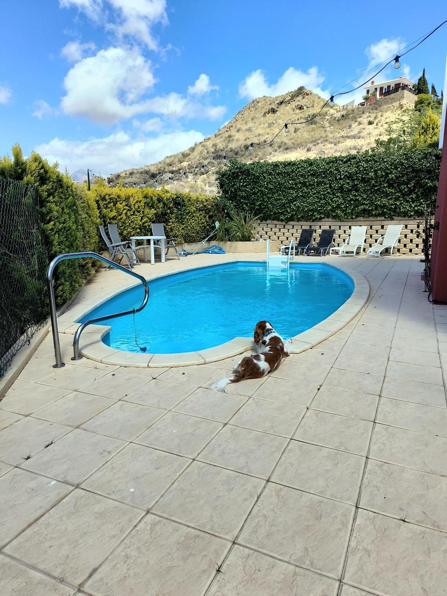 Villa Alicante - Bonalba Golf Mutxamel Eksteriør billede
